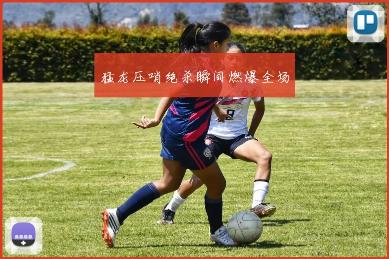 猛龙压哨绝杀瞬间燃爆全场