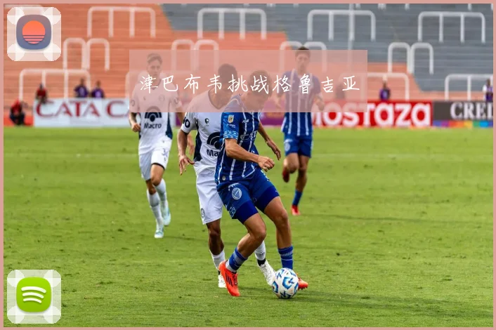 津巴布韦挑战格鲁吉亚