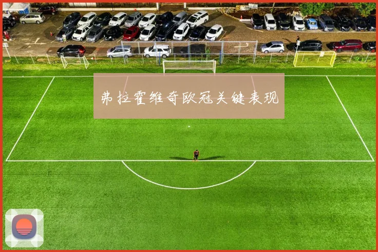 弗拉霍维奇欧冠关键表现