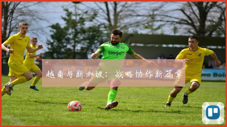 越南与新加坡:战略协作新篇章