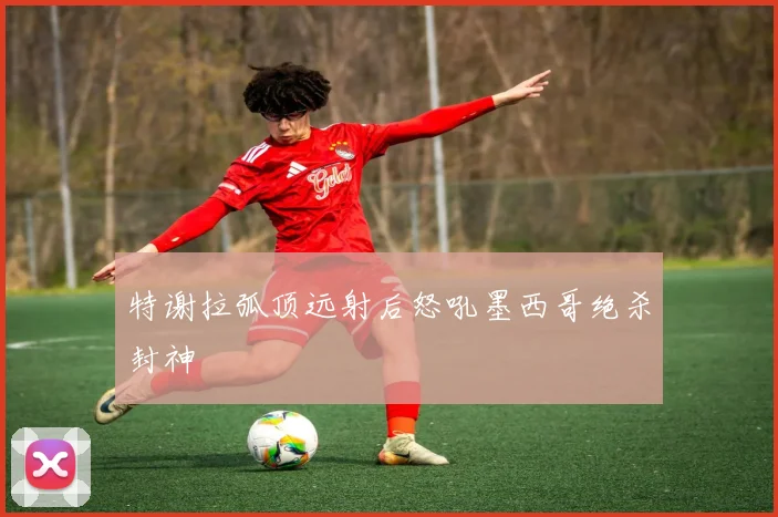 特谢拉弧顶远射后怒吼墨西哥绝杀封神