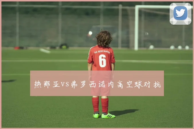 热那亚vs弗罗西诺内高空球对抗