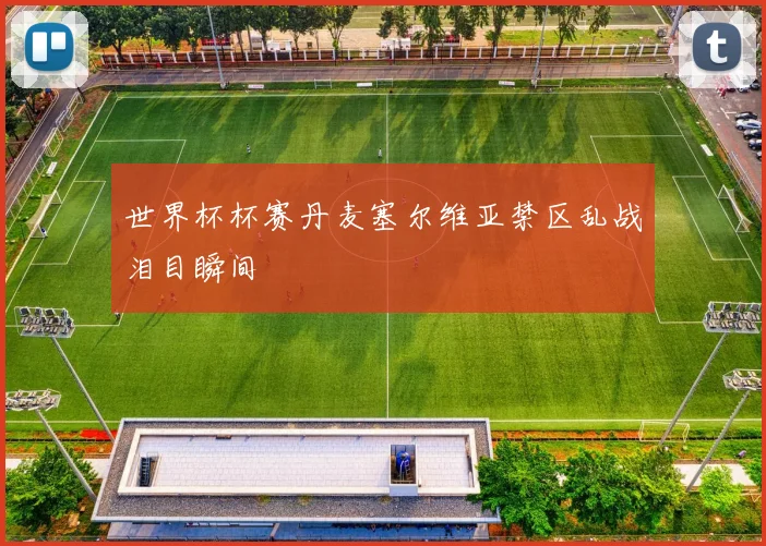 世界杯杯赛丹麦塞尔维亚禁区乱战泪目瞬间