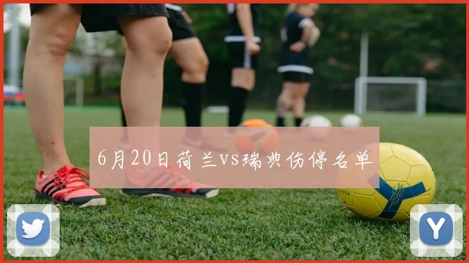 6月20日荷兰vs瑞典伤停名单