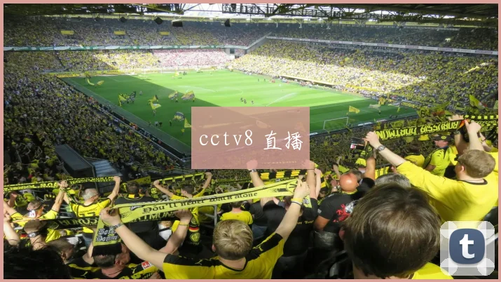 cctv8 直播